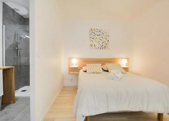 L'independant De La Rue Du Tapis - Appt * 南锡